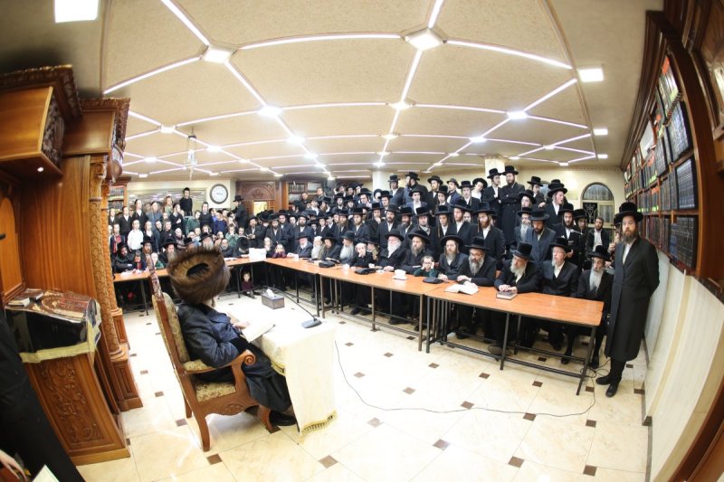 שלומי טריכטר