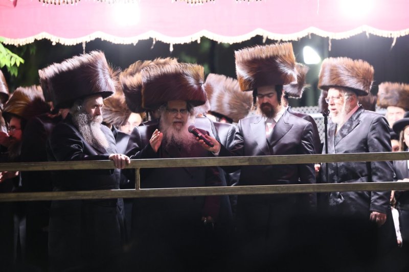 שלמה ב.