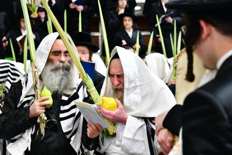 שוקי לרר