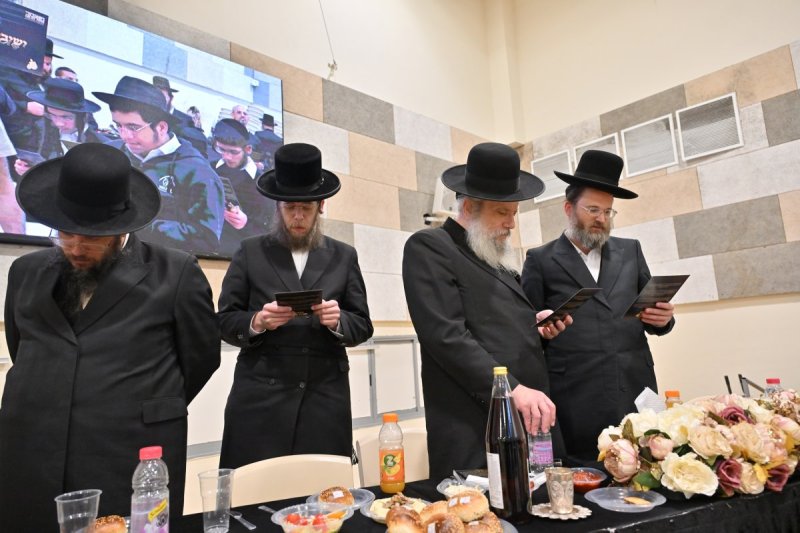 יהושע פרוכטר