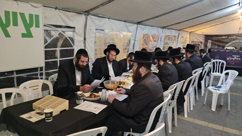 אלחנן קוטלר