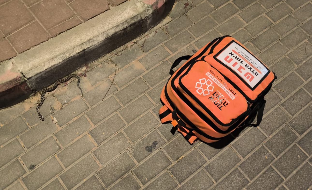 דוברות איחוד הצלה