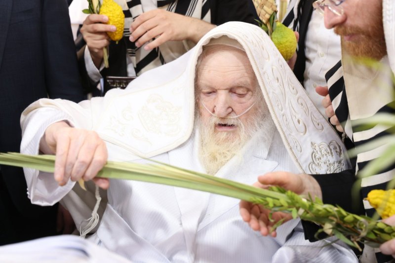 שוקי לרר ושמואל דריי