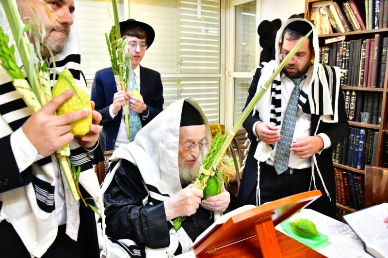שוקי לרר