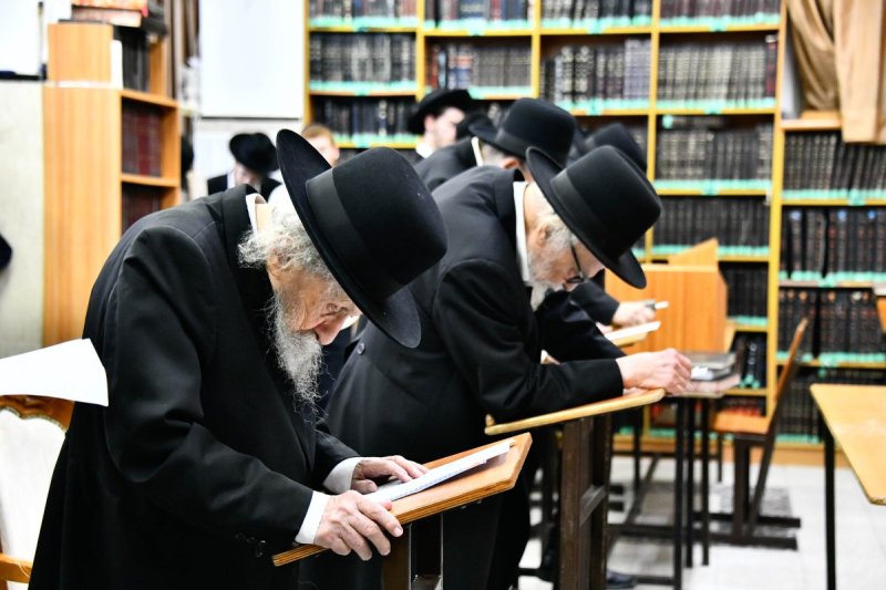 שוקי לרר