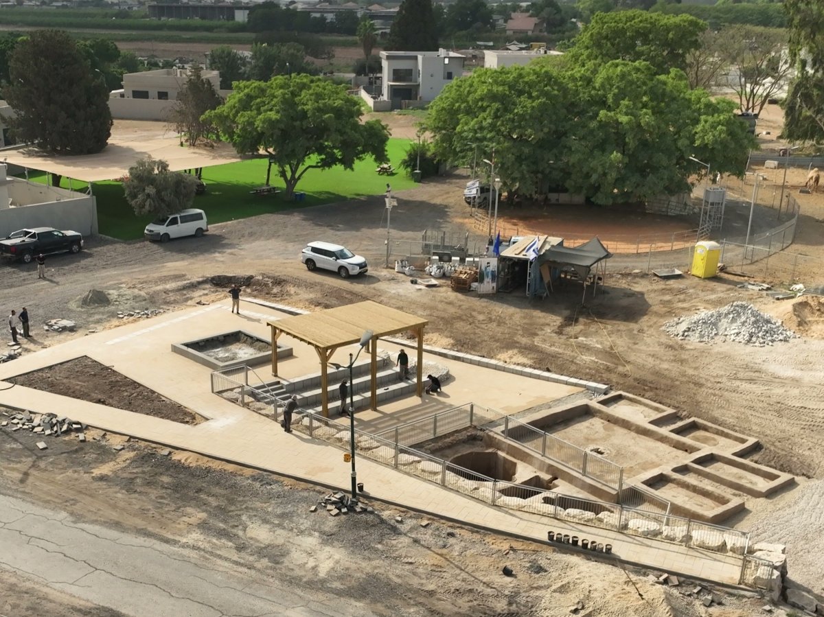 אמיל אלג'ם, רשות העתיקות