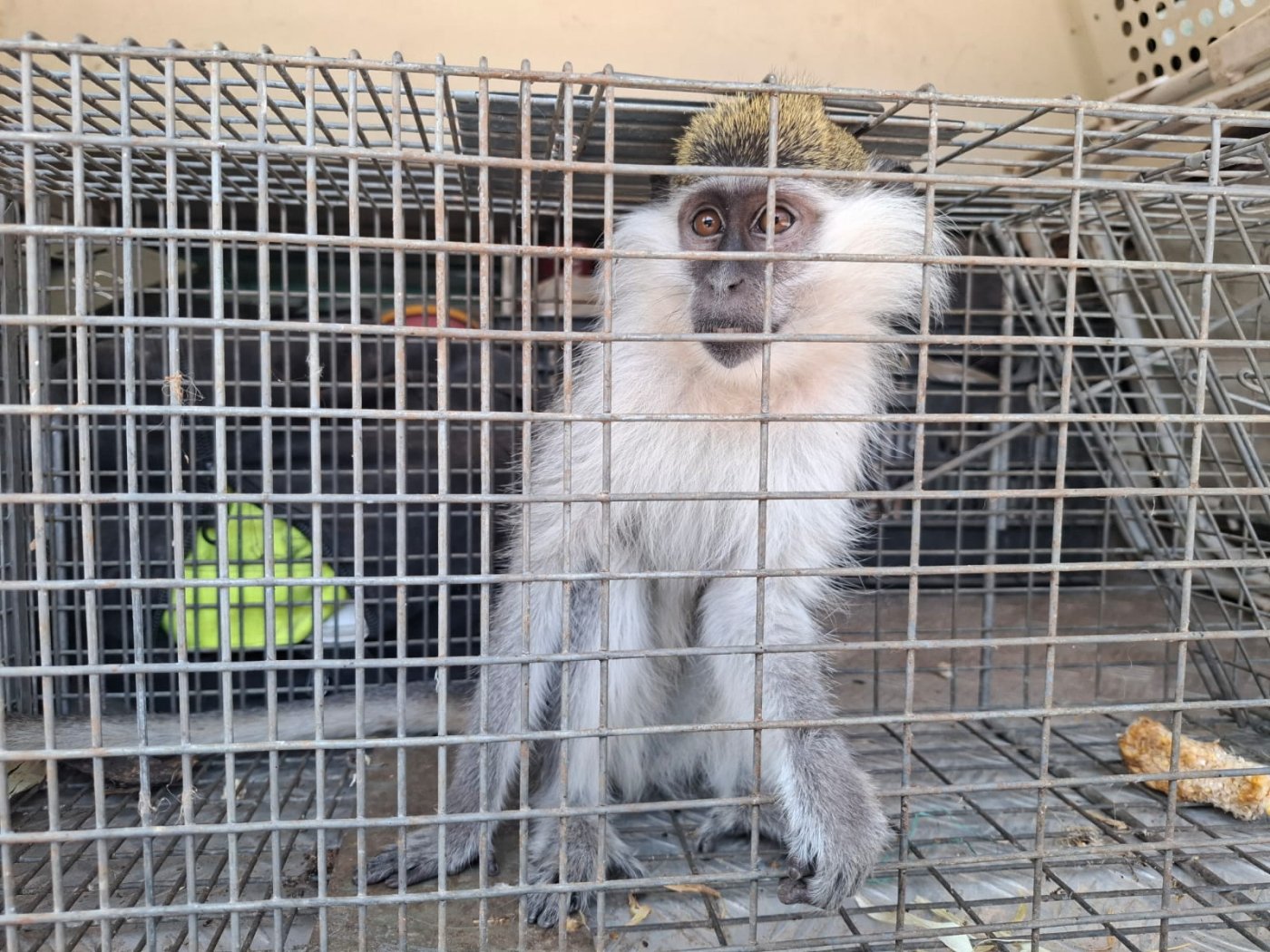 רשות הטבע והגנים