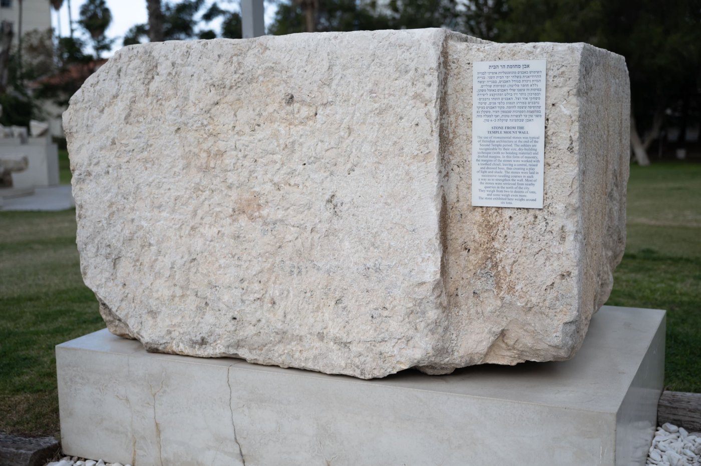 נטע דבח משרד הביטחון