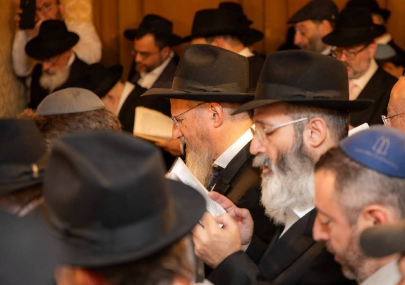 דוברות הקהילה