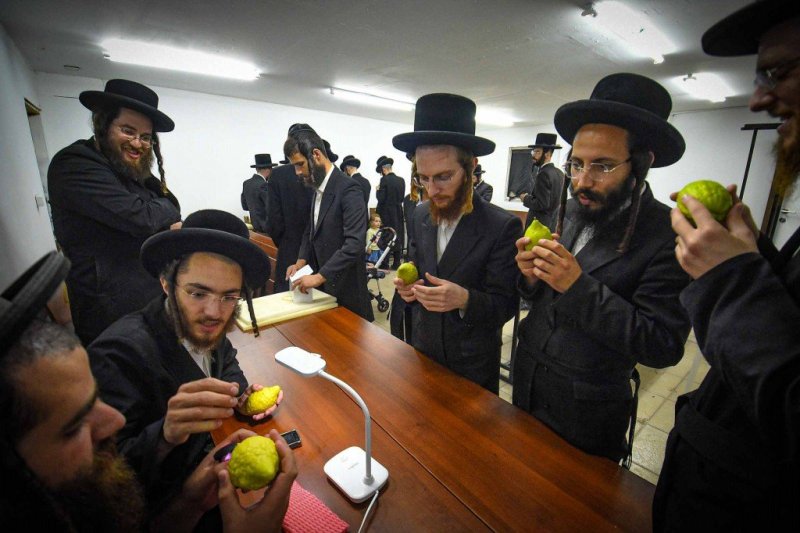 ארי קופרשטוק