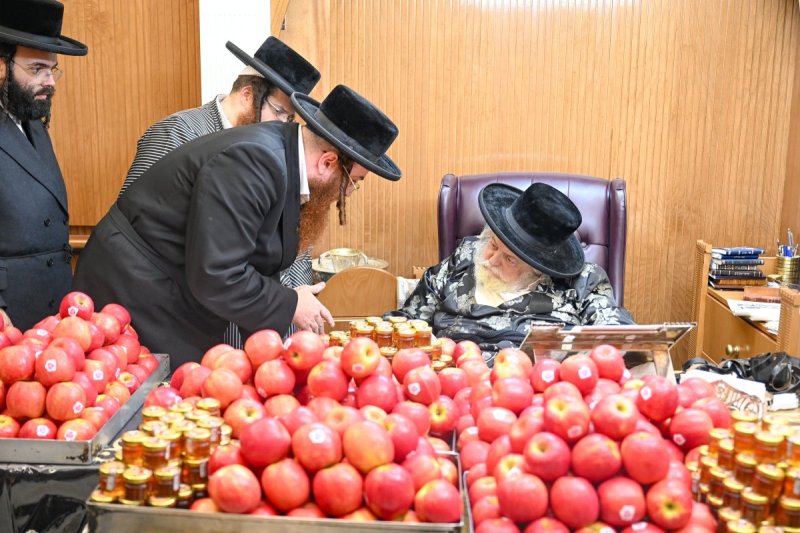 משה גולדשטיין