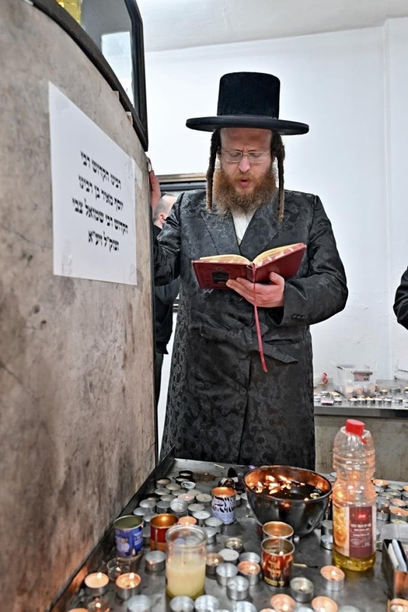 יהושע פרוכטר