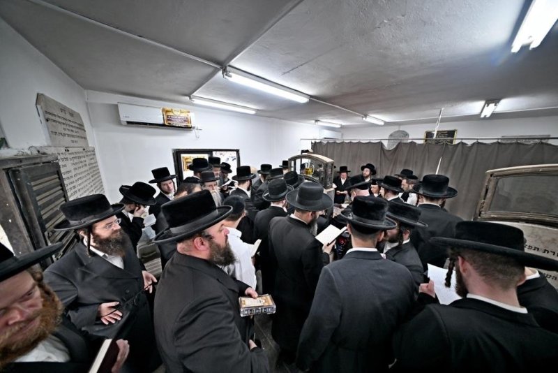 יהושע פרוכטר