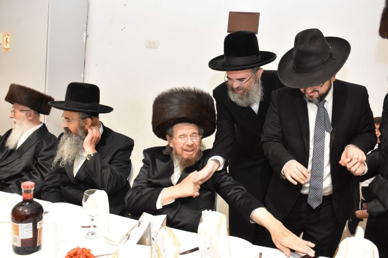 יהודה פרקוביץ