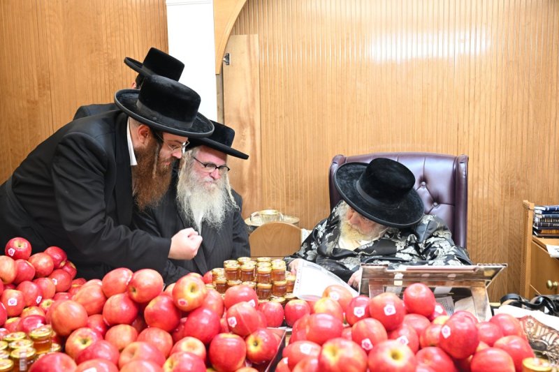 משה גולדשטיין