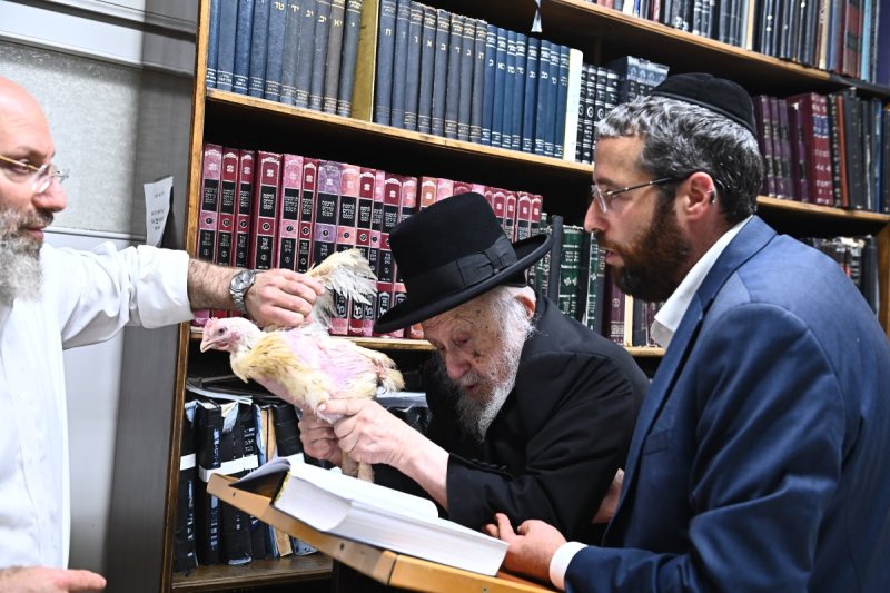 שוקי לרר