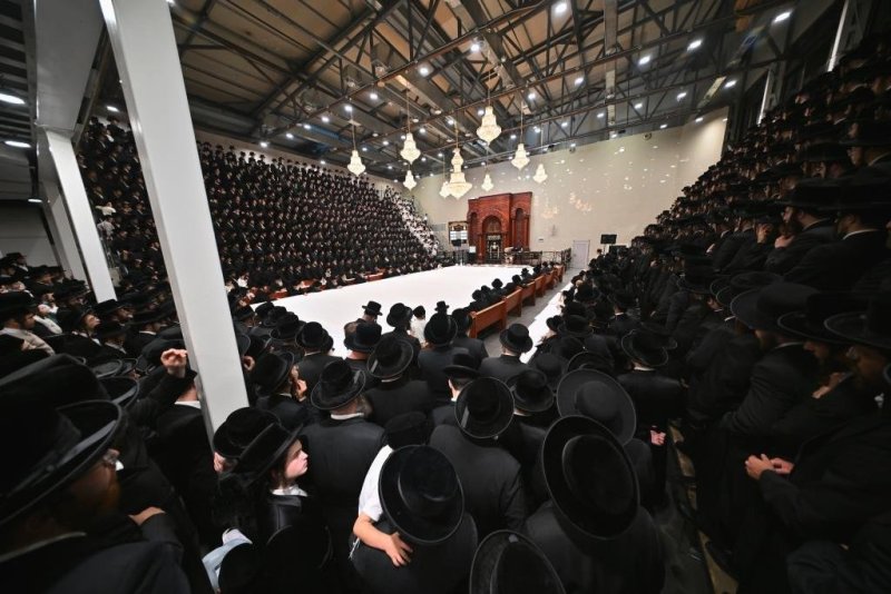 יהושע פרוכטר