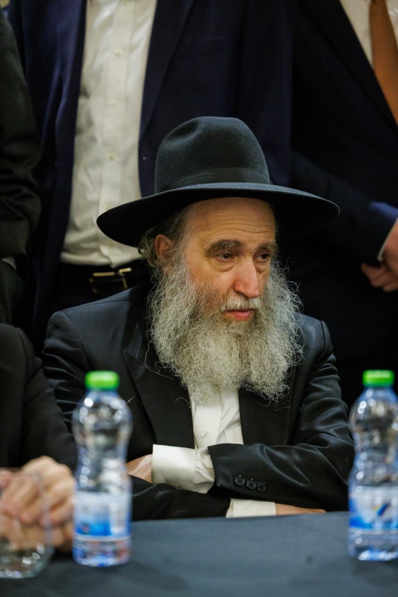 דניאל נפוסי ומאיר זלזניק