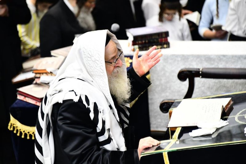שוקי לרר