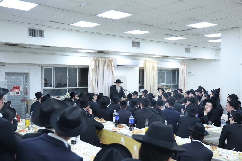 שלומי טריכטר