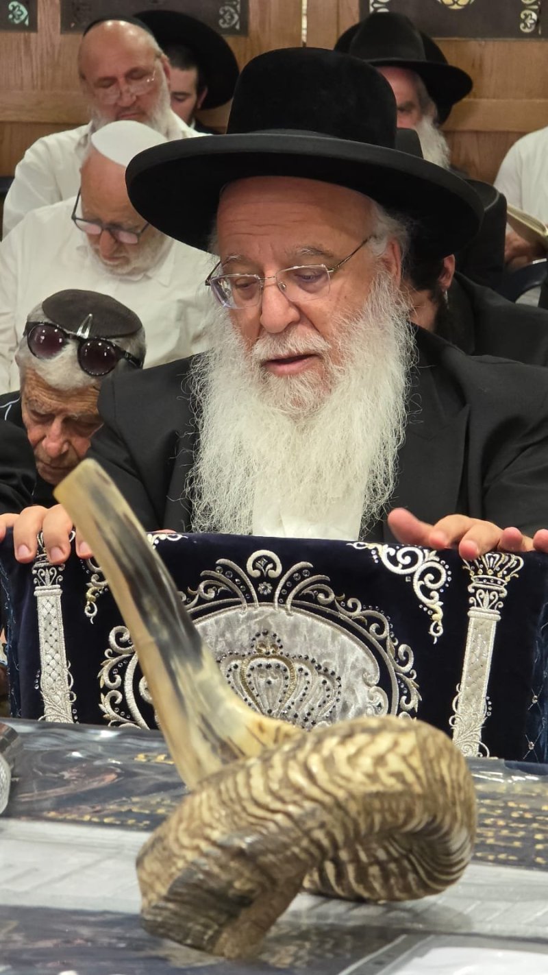 באדיבות המצלם