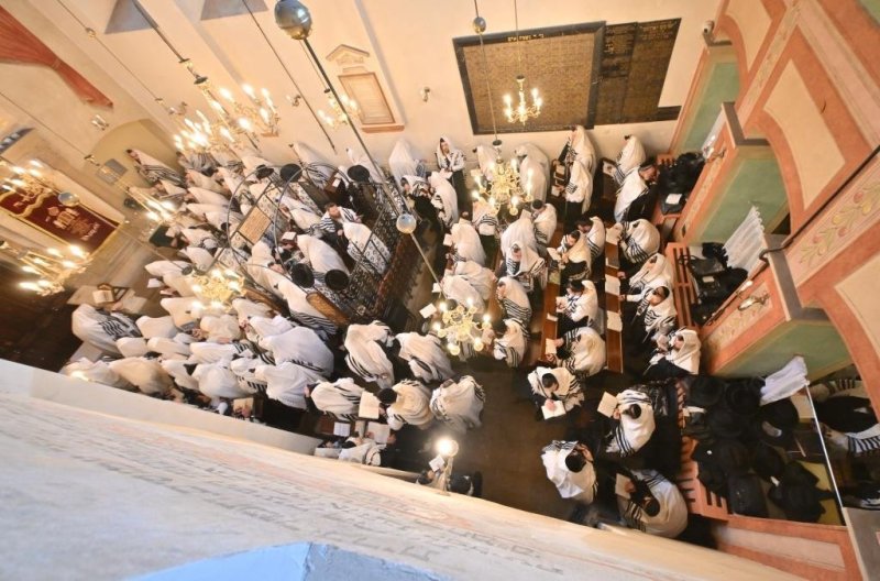 יהושע פרוכטר