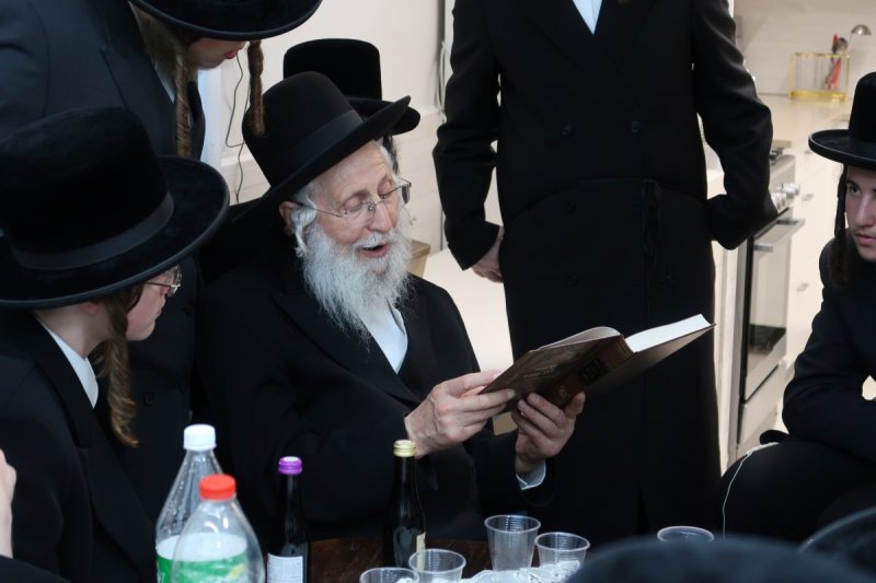 מ. שיין