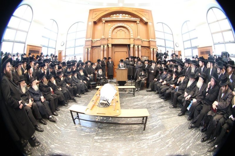 שלומי טריכטר