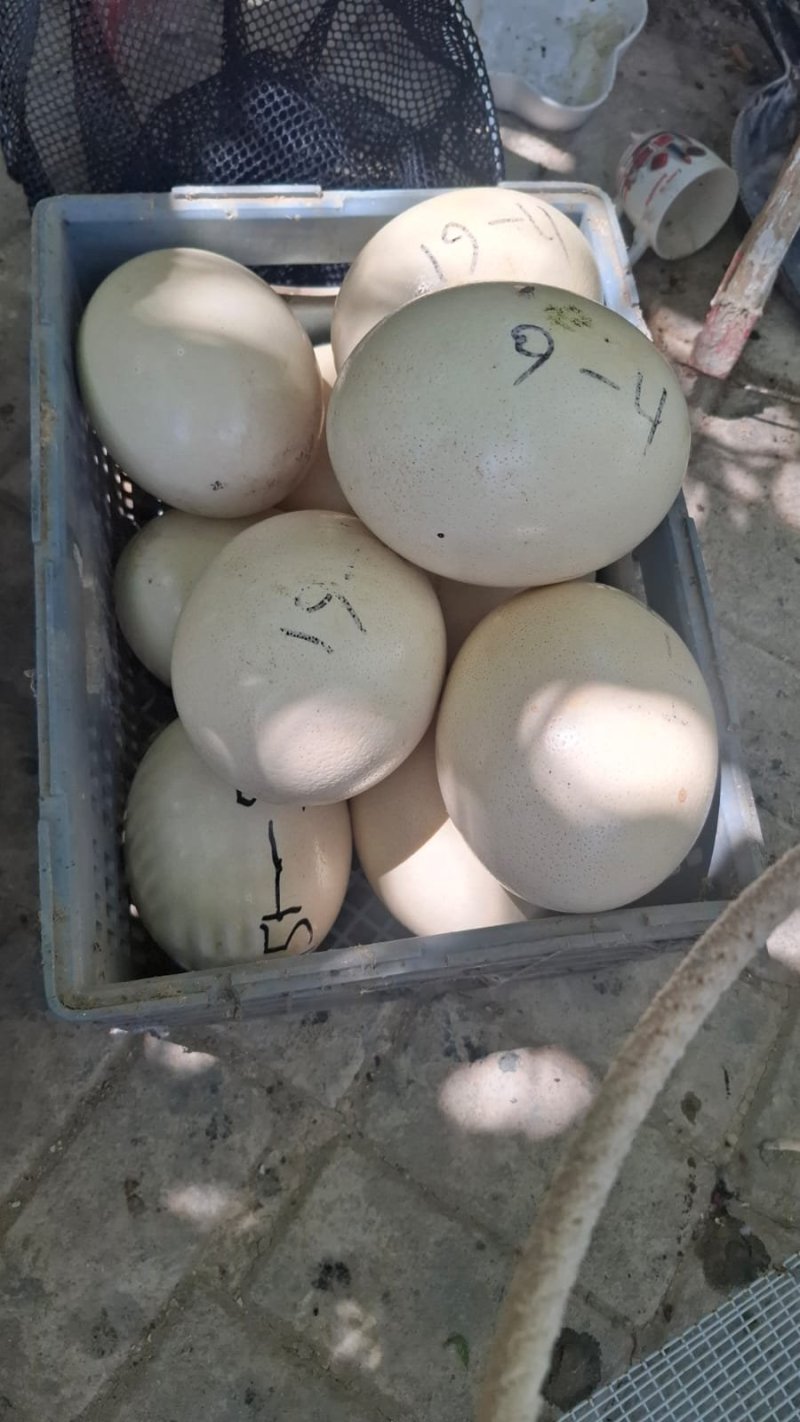 דוברות המשטרה / רשות הטבע והגנים