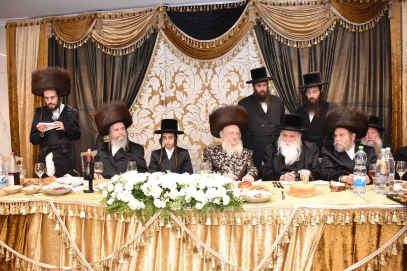 יהודה פרקוביץ