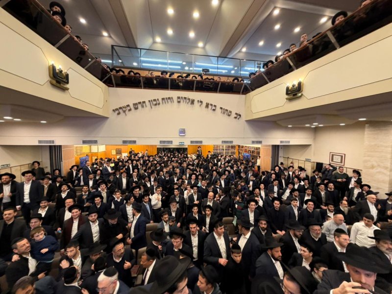 דניאל נפוסי ומאיר זלזניק