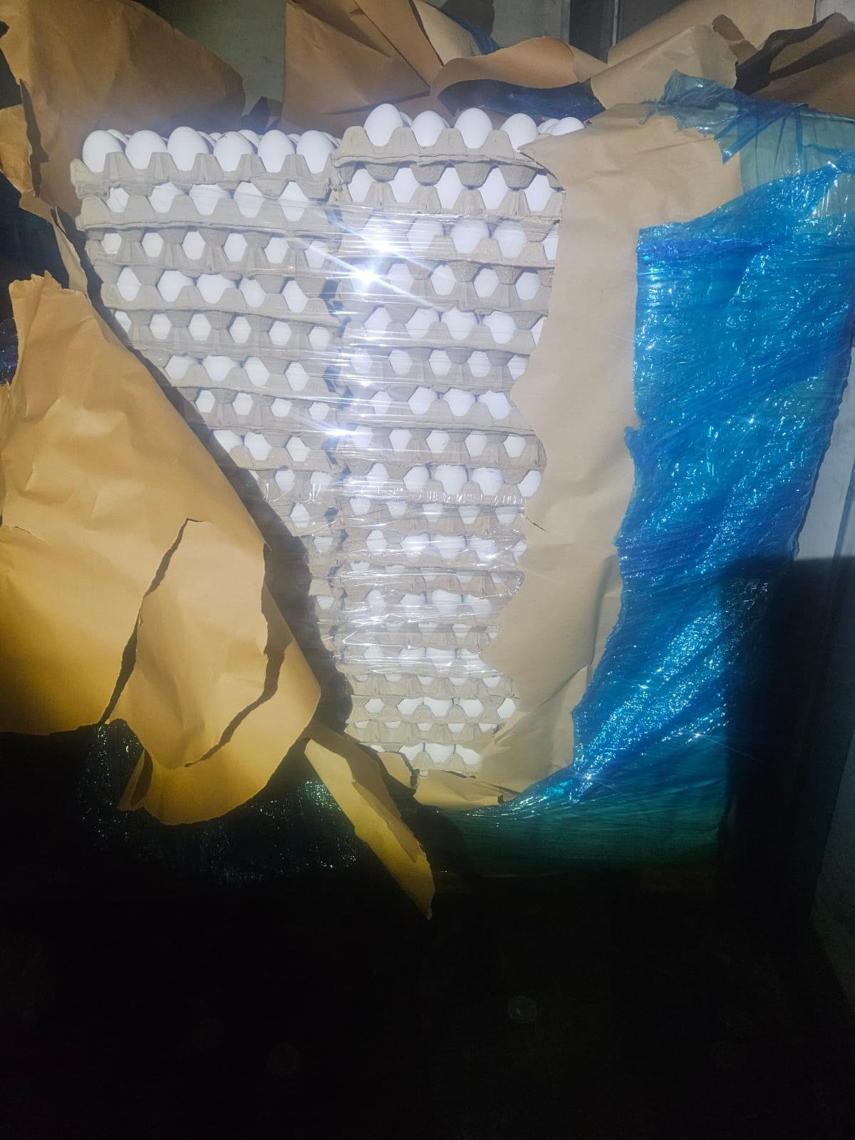 משרד החקלאות וביטחון המזון