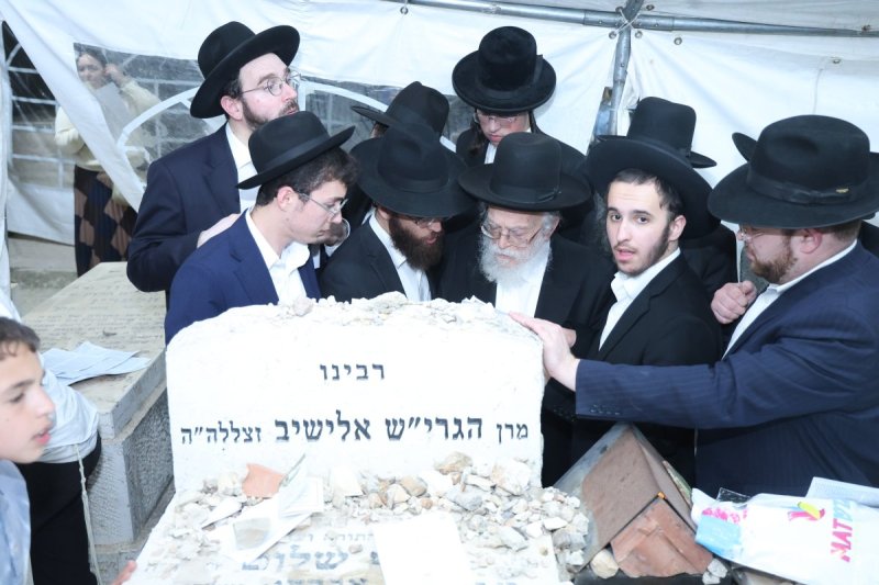 שלומי טריכטר