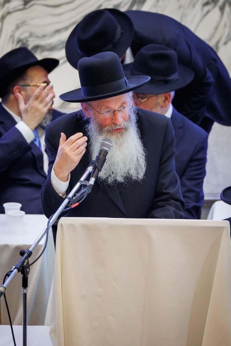 דניאל נפוסי ומאיר זלזניק