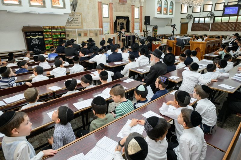 מנדי רוט