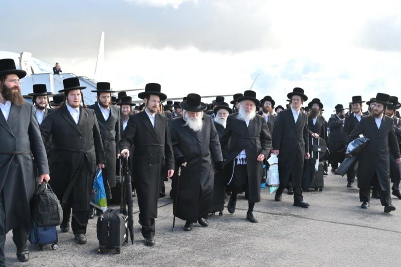 יהושע פרוכטר