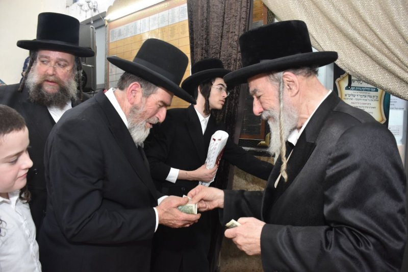 יהודה פרקוביץ