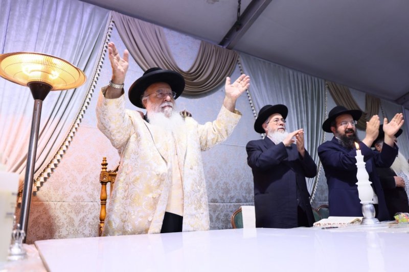 ים לביא