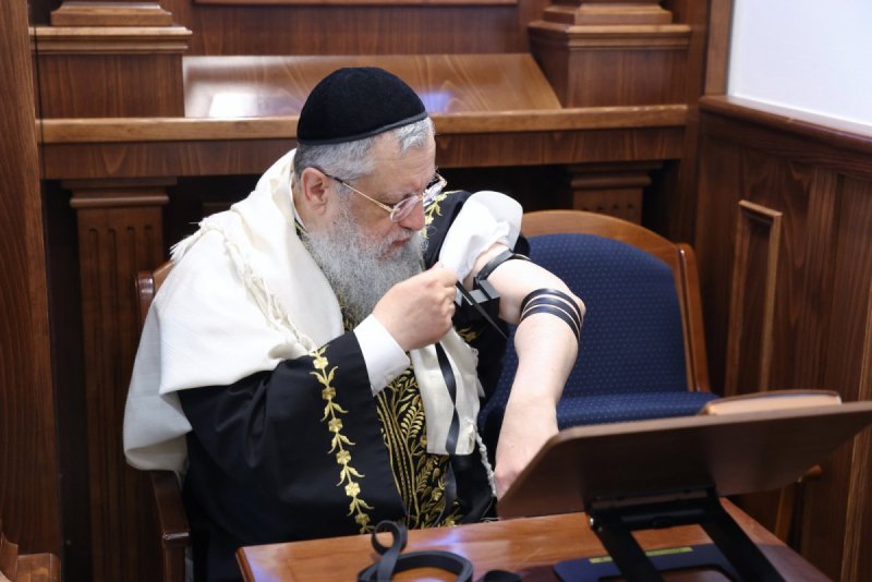 יעקב כהן