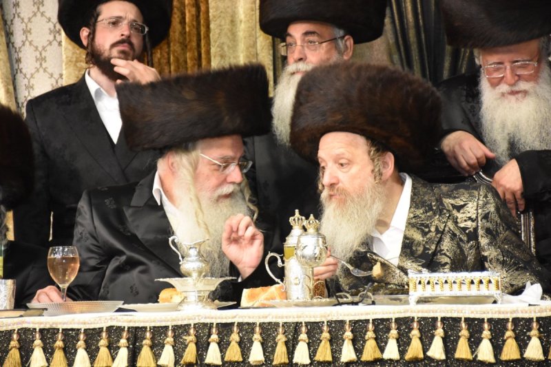 יהודה פרקוביץ