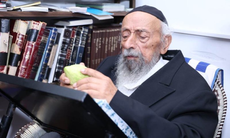 לפני שאושפז: הגר"ש בעדני בדק אתרוגים בביתו