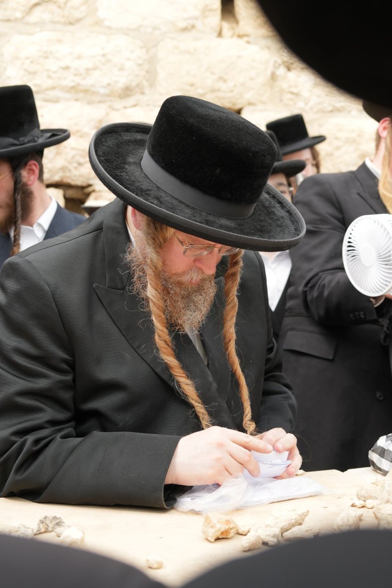 יוחנן לוסטיג ודודי סגל