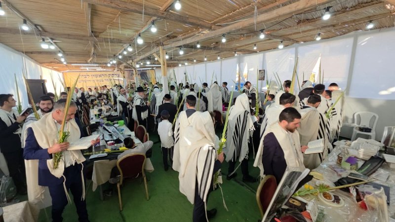 באדיבות המצלם