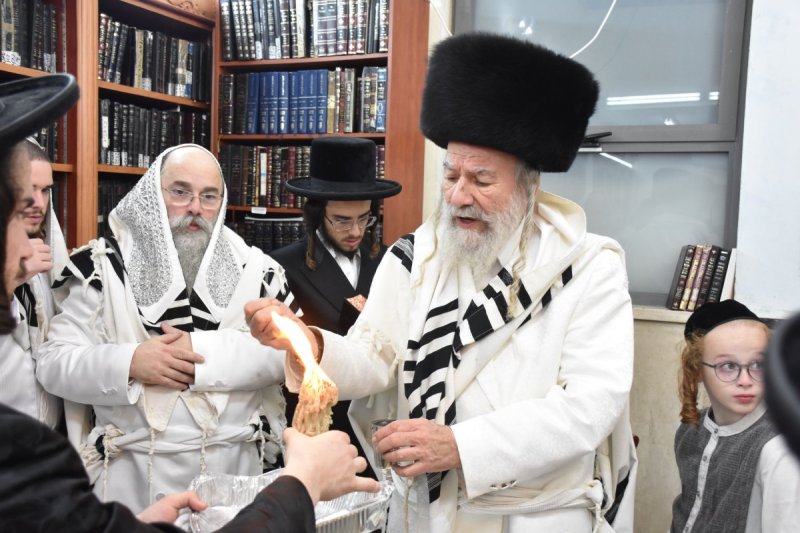 יהודה פרקוביץ