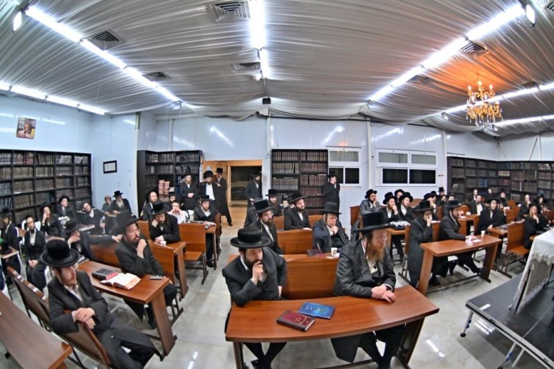 יהושע פרוכטר