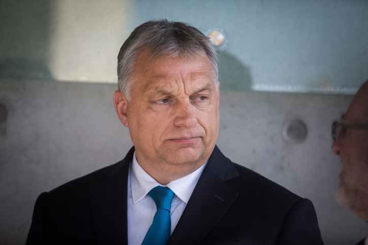 הדס פרוש, פלאש 90