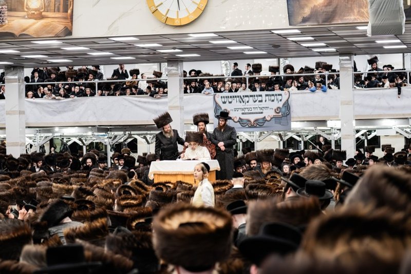 י. שטיין