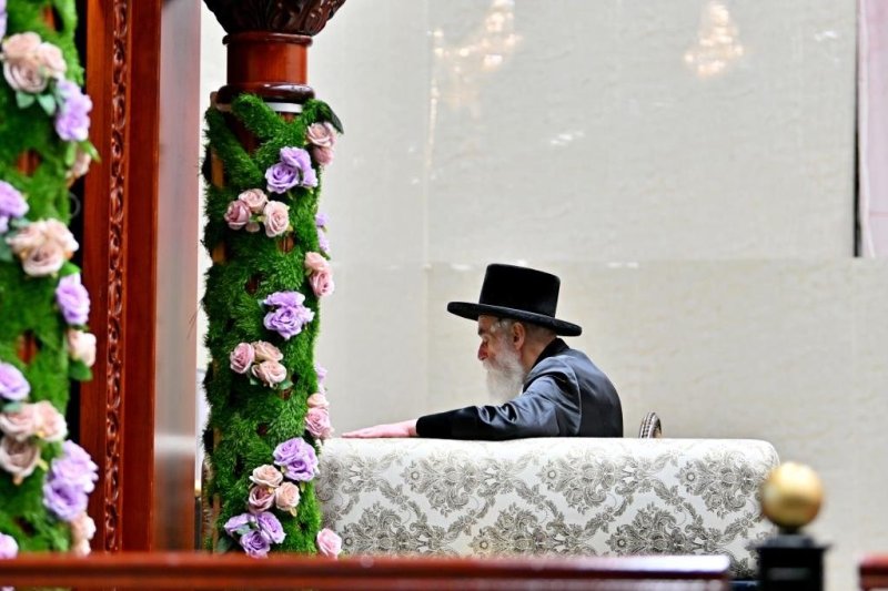 יהושע פרוכטר