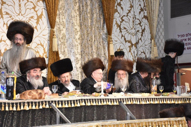 יהודה פרקוביץ