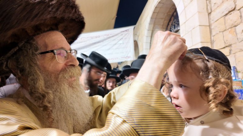 דוד כהן